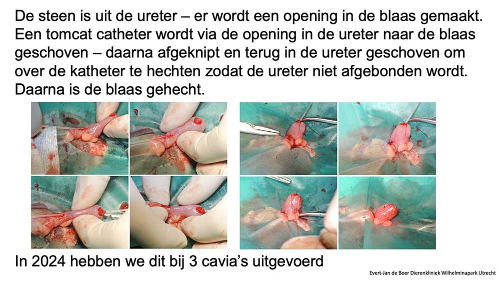 We hechten de ureter over een katheter dicht